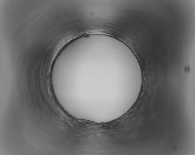 X0000111220289200907161259