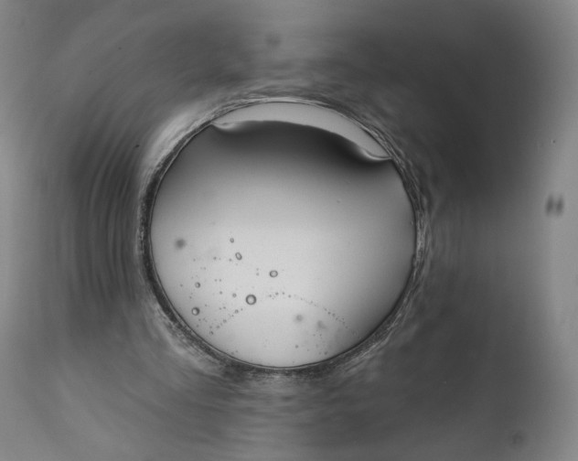 X0000111220293200907161259