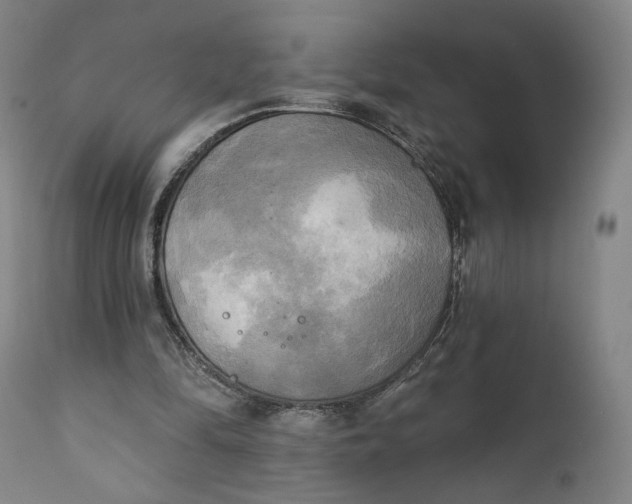 X0000111220294200907161259