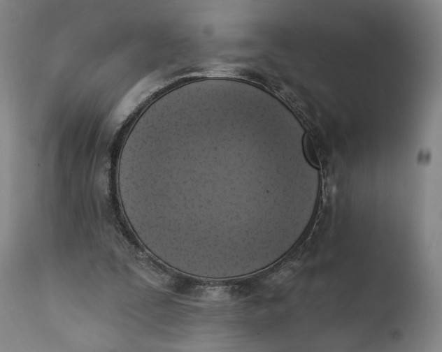 X0000111220295200907161259