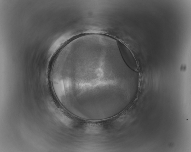 X0000111220296200907161259