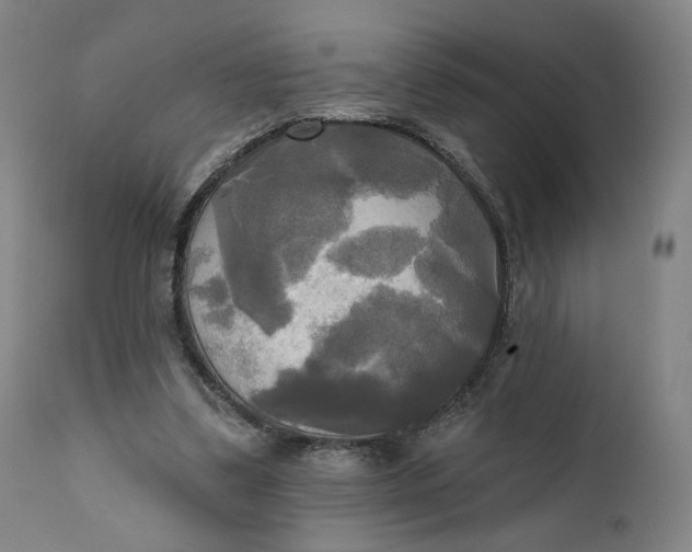 X0000111220299200907161259