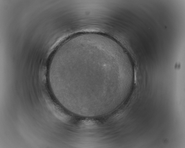 X0000111220300200907161259