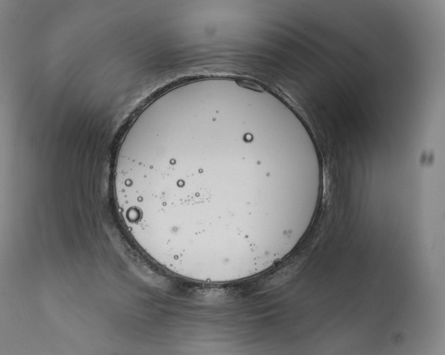 X0000111220301200907161259