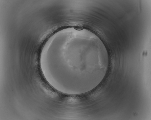 X0000111220303200907161259
