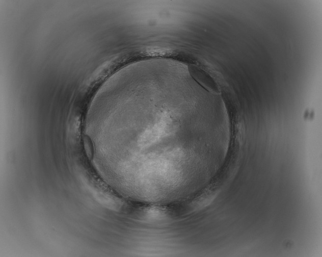 X0000111220308200907161259