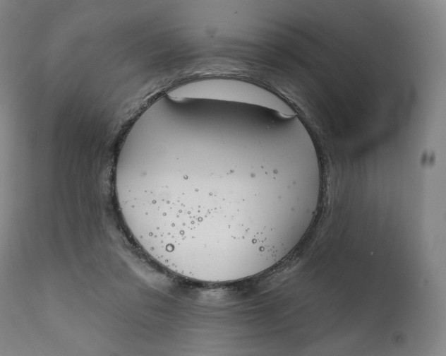 X0000111220309200907161259