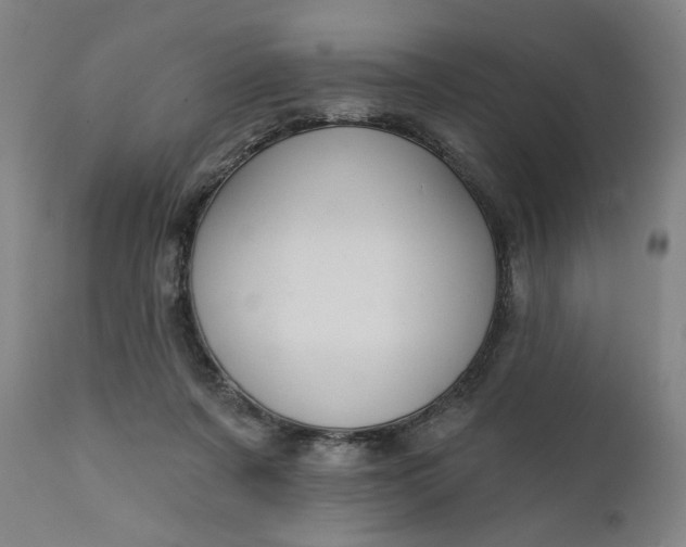 X0000111220311200907161259