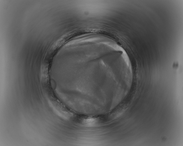 X0000111220312200907161259