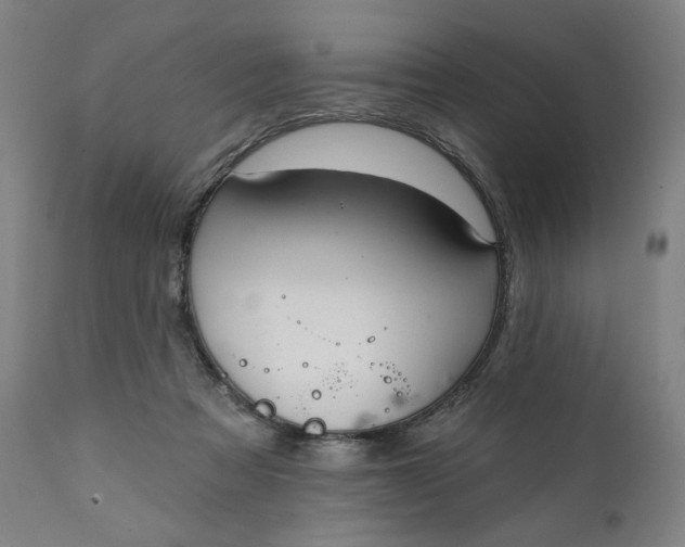 X0000111220313200907161259