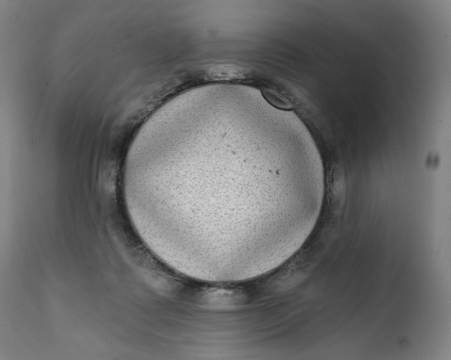 X0000111220315200907161259