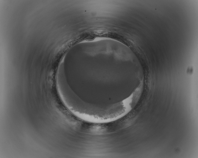 X0000111220319200907161258