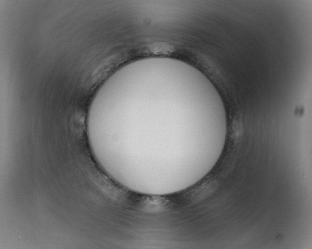 X0000111220321200907161258