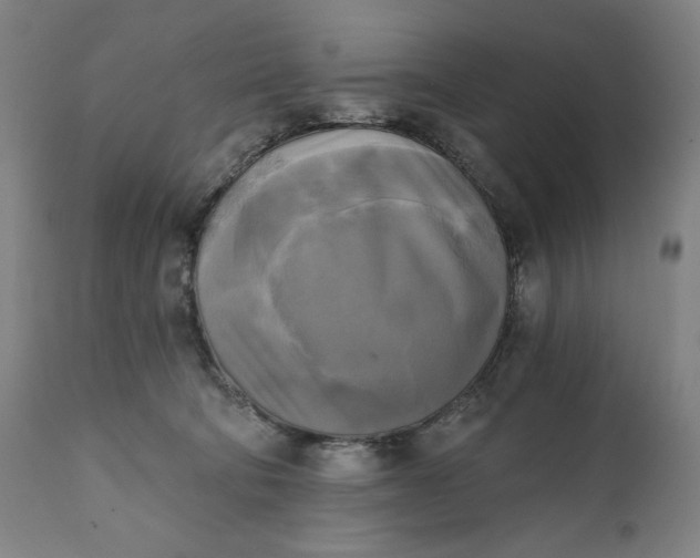 X0000111220322200907161258