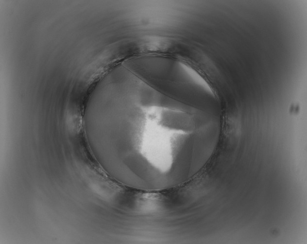 X0000111220324200907161258