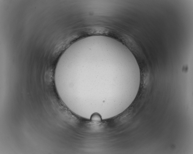 X0000111220326200907161258
