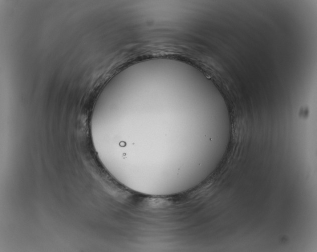 X0000111220327200907161258