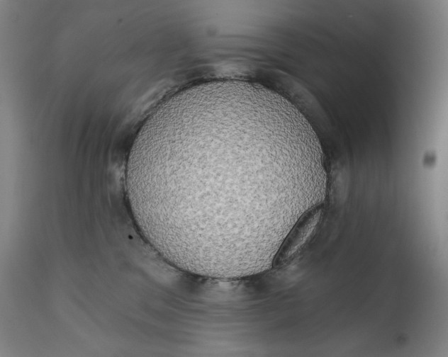 X0000111220329200907161258