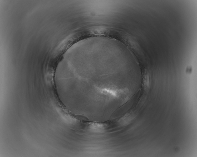X0000111220332200907161258