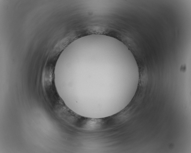 X0000111220334200907161258