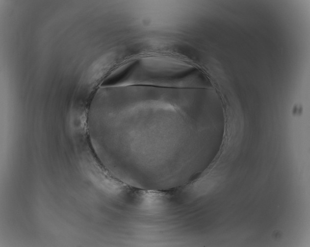 X0000111220336200907161258