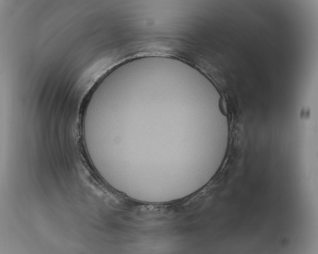 X0000111220338200907161257