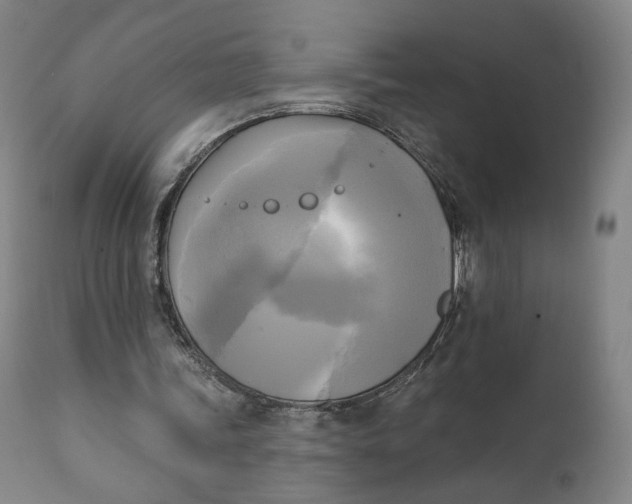 X0000111220339200907161257