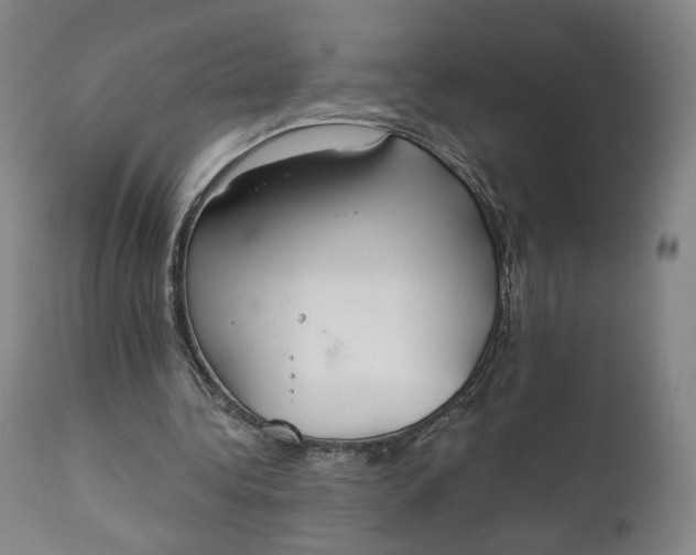 X0000111220340200907161257