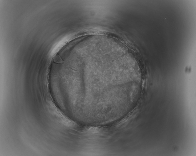 X0000111220341200907161257