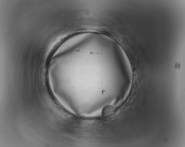 X0000111220342200907161257