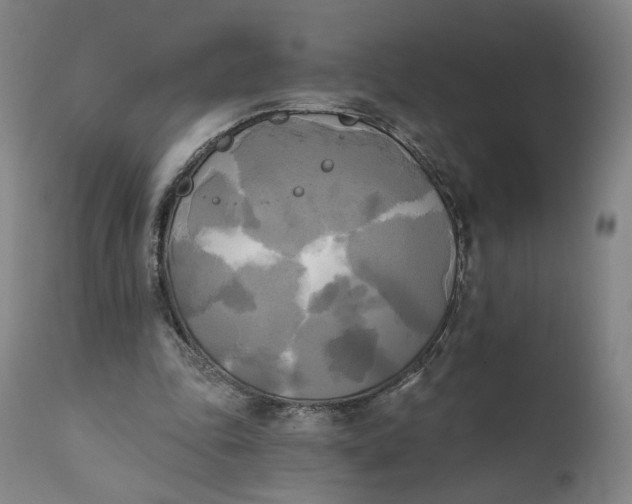 X0000111220343200907161257