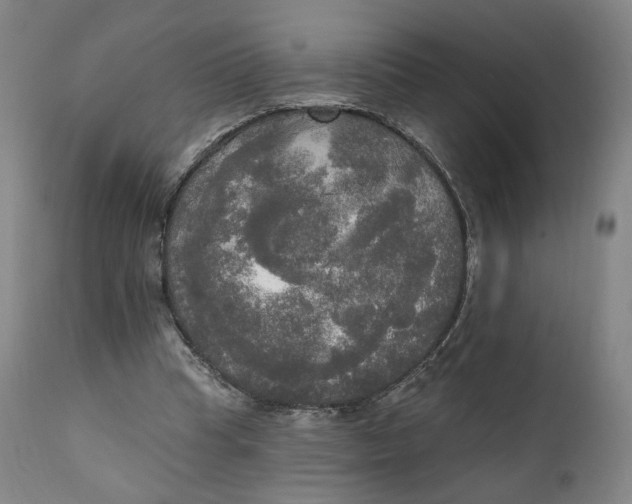 X0000111220345200907161257