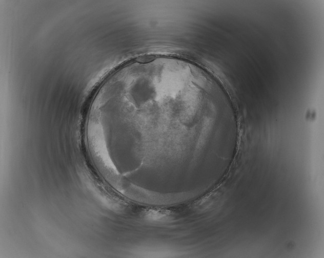 X0000111220346200907161257