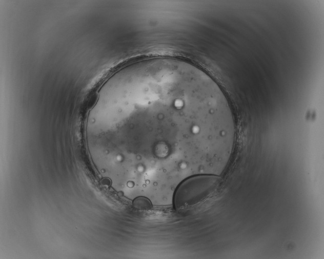 X0000111220347200907161257