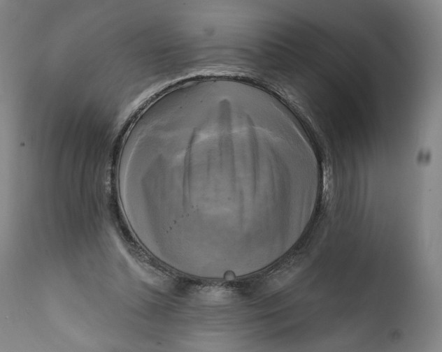 X0000111220348200907161257