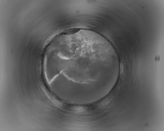 X0000111220349200907161257