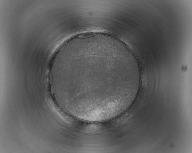 X0000111220350200907161257