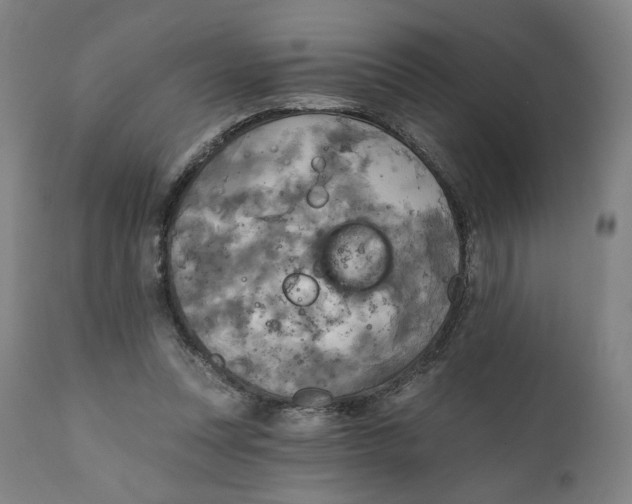 X0000111220351200907161257