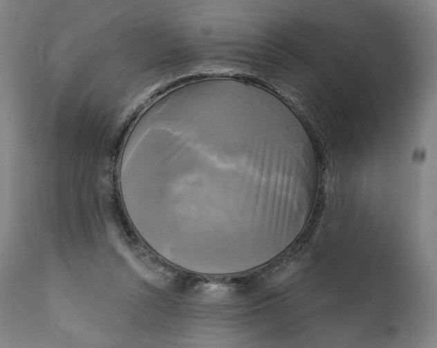 X0000111220352200907161257
