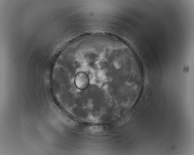 X0000111220353200907161257