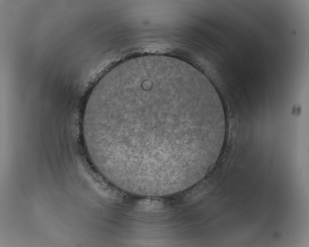 X0000111220354200907161257