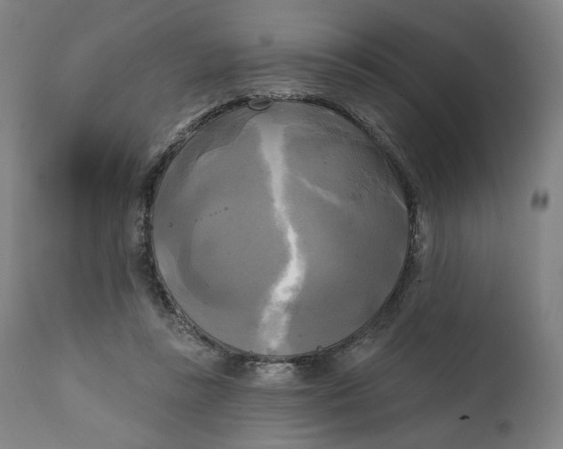 X0000111220355200907161257