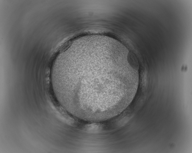 X0000111220356200907161257