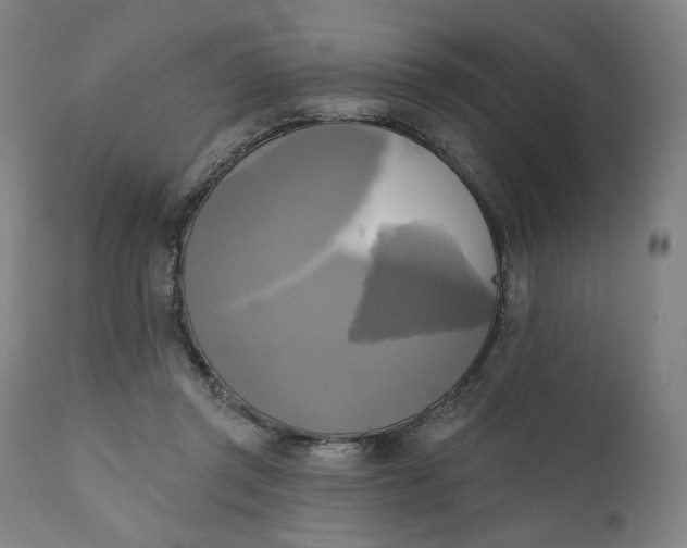 X0000111220357200907161257