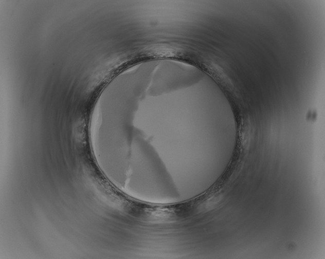 X0000111220359200907161257