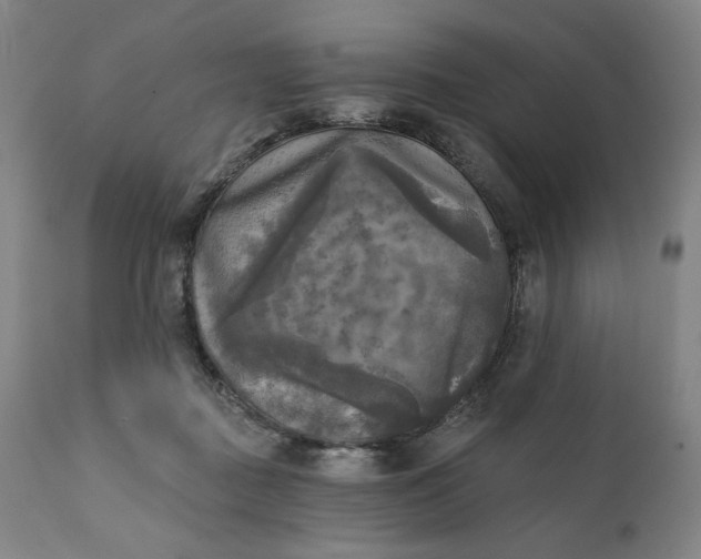 X0000111220363200907161258
