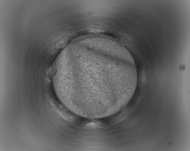 X0000111220364200907161258