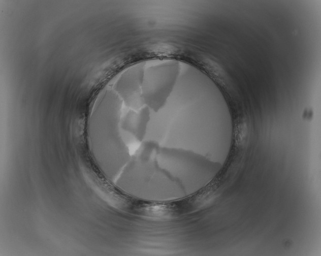 X0000111220365200907161258