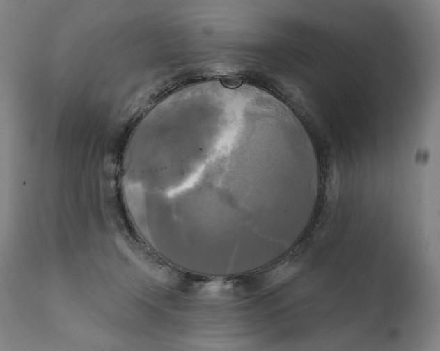 X0000111220366200907161258