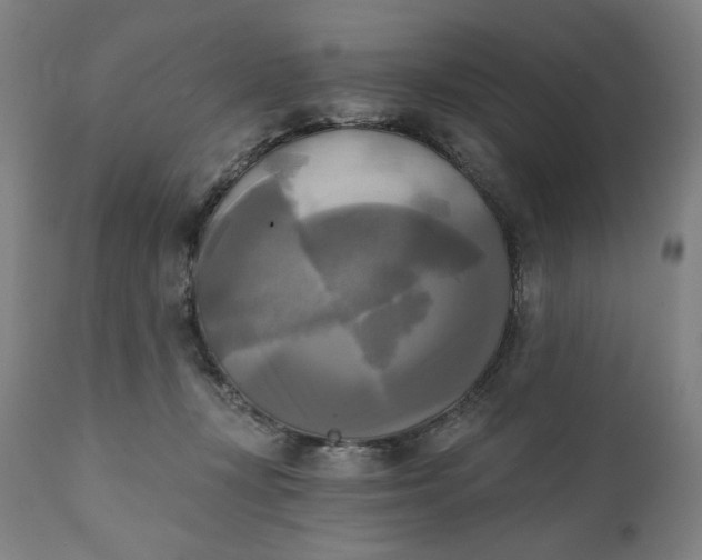 X0000111220367200907161258